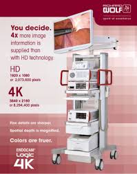 WOLF ENDOCAM Logic 4K